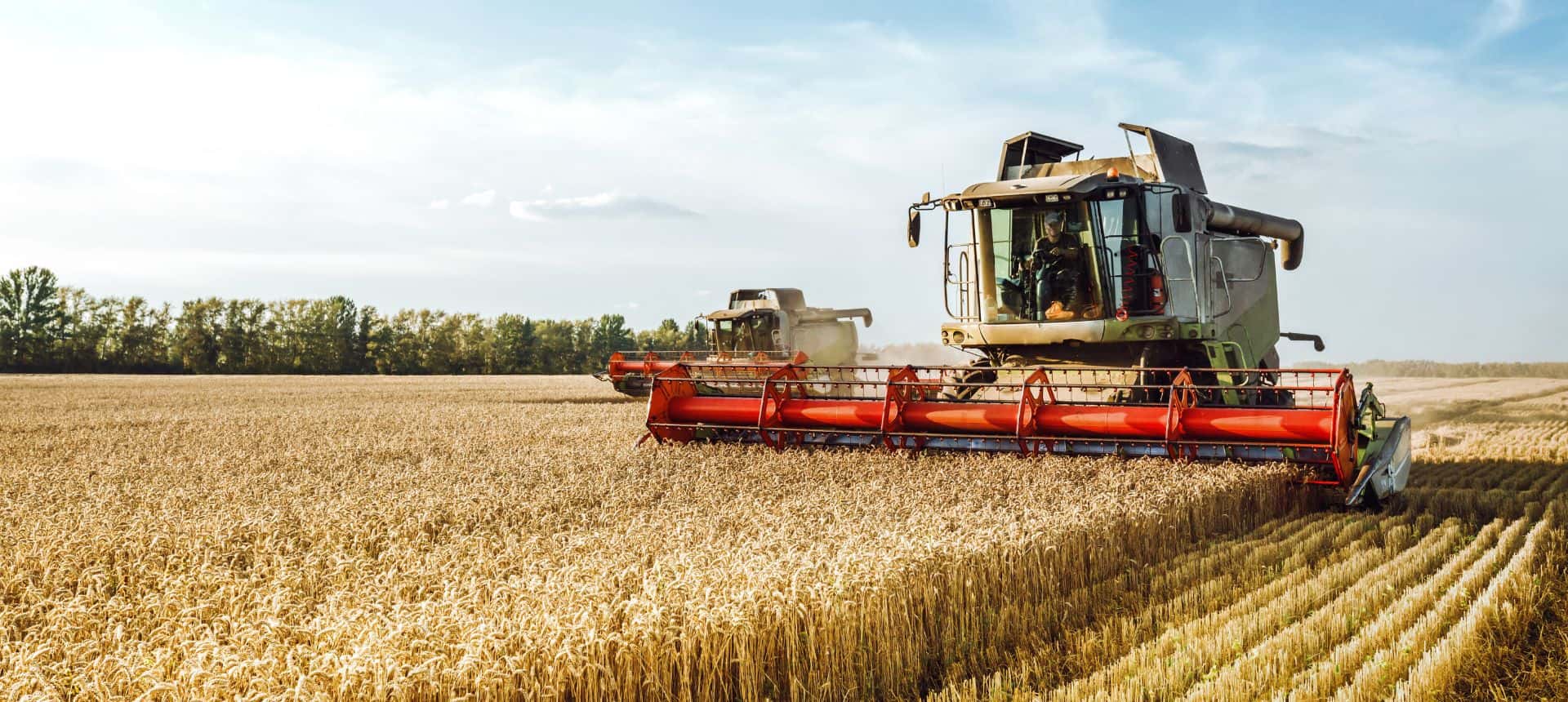 Neev Corporation: Company Brochure